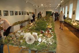 Latvia nasjonale historiske museum