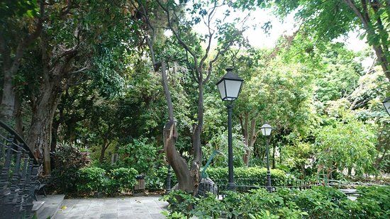 Agaete botaniske hage