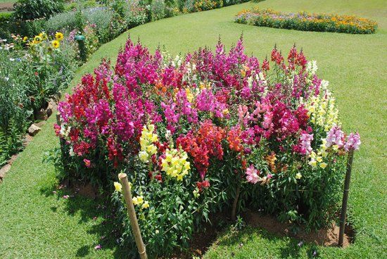 Victoria Park i Nuwara Eliya