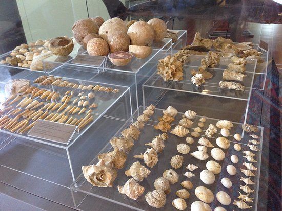 THALASSA kommunale museum