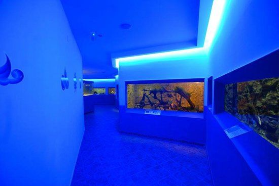 Protaras havakvarium