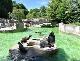 Hellabrunn zoologiske hage
