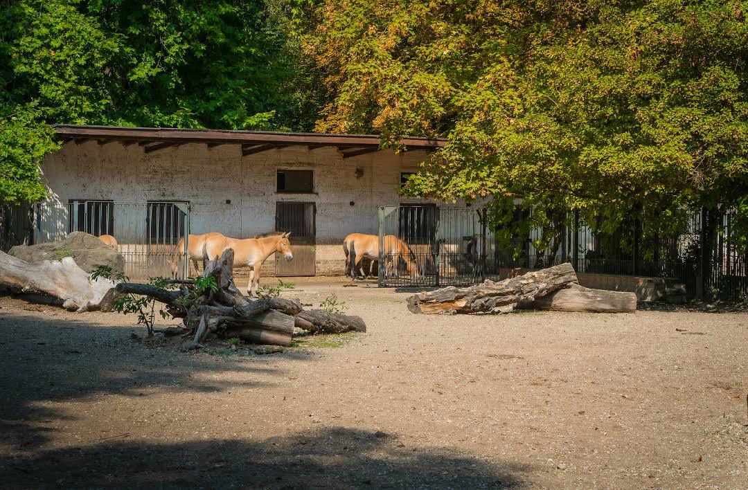 Leipzig zoologiske hage