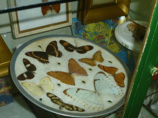 Fuerte Independencia historiske museum