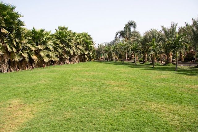 Viveiro botaniske hage og zoo