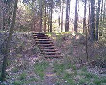Troldborg Ring