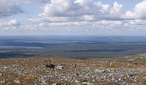 Himmelriiki