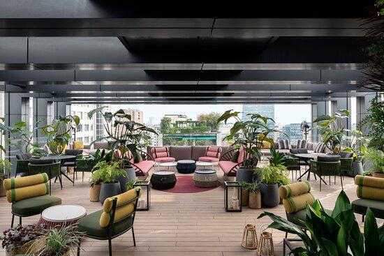 Organics SkyGarden Cielo