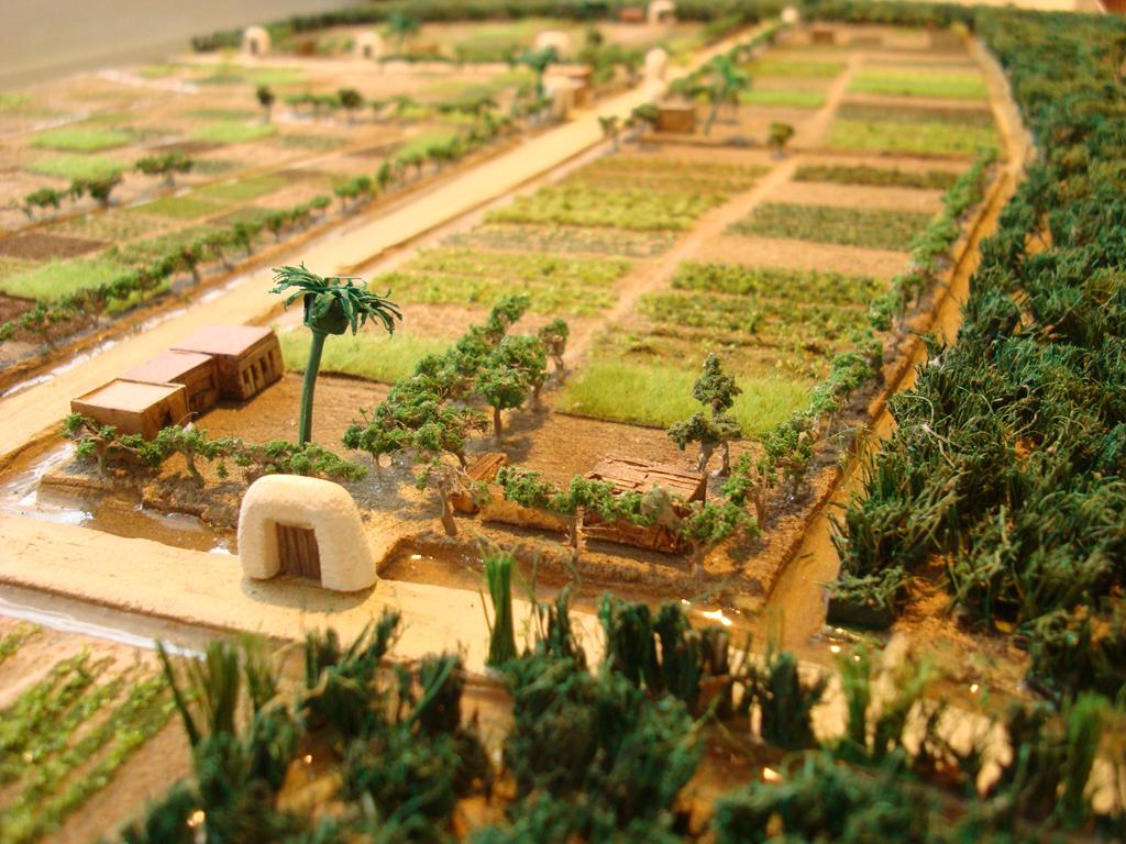 Ses Feixes våtmarker