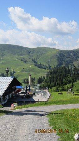 Fleckalm taubane