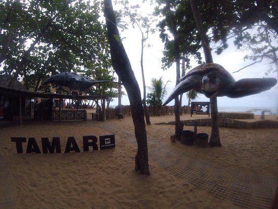 Tamar-prosjektets skilpaddereservat