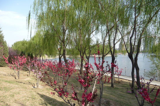 Chaoyangparken