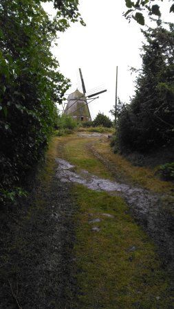 Kvarnen i Tronningenas