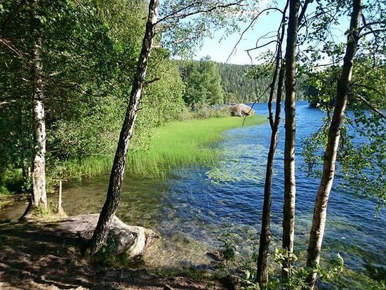 Lutvann