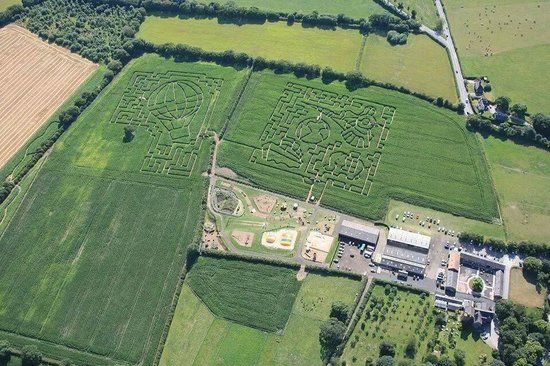 Maize Maze
