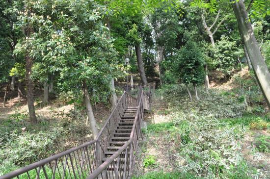 Kaminoge Natural Park