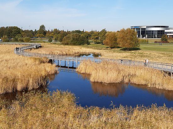 Pärnu rannaniidu matkarada