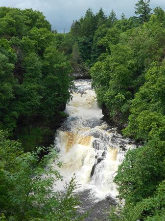 Falls of the Clyde
