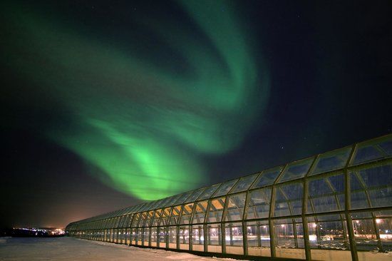 Arktikum vitenskapssenter og museum