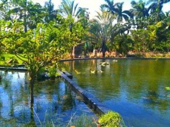 Miami strand botaniske hage