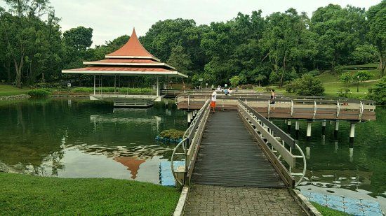 MacRitchie-reservatet