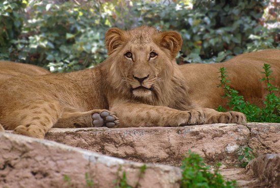Parc Zoològic de Barcelona