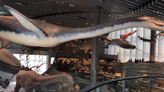 Shanghai naturhistoriske museum