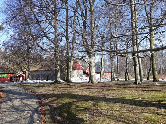 Naturmuseum og botanisk hage