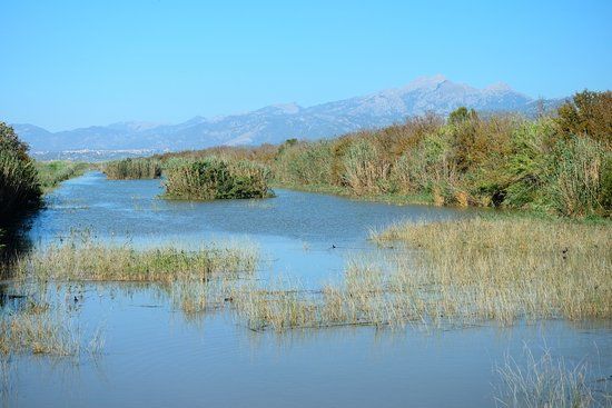 S'Albufera de Mallorca naturpark