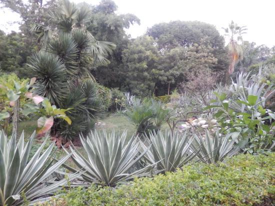 Mumbai havnemyndighets hage