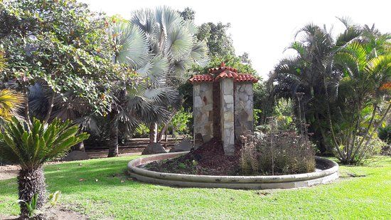 Maspalomas botaniske hage