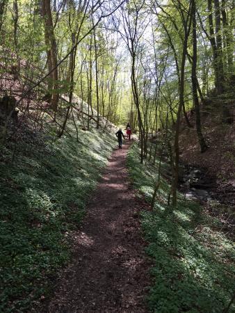 Afgrunden Ved Vissenbjerg