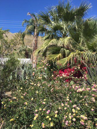 Moorten botaniske hage og kaktarium