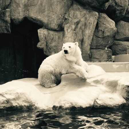 Shizuoka Municipal Nihondaira Zoo