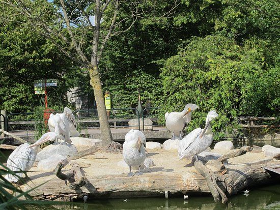 Allwetterzoo Muenster