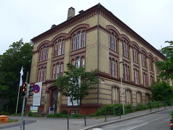 Zoologisk museum ved universitetet i Kiel