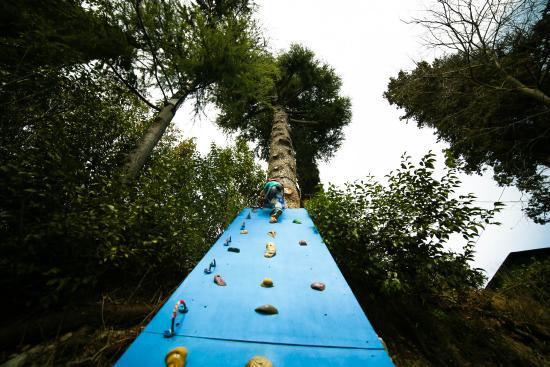 Rimbalzello Adventure