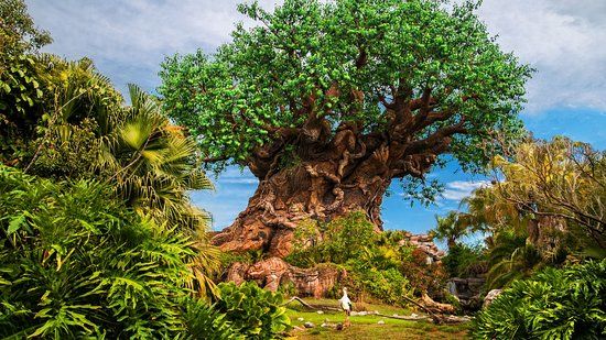 Disney's Animal Kingdom