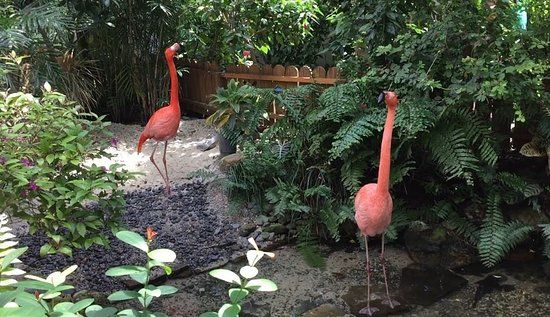 Key West sommerfugl- og naturreservat