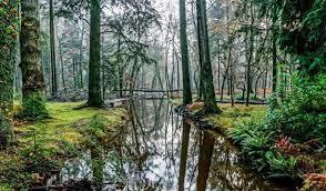 Blackwater Arboretum