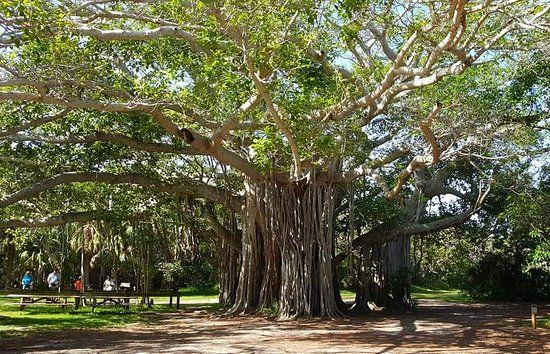 Hugh Taylor Birch statspark
