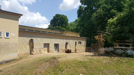 Frankfurt zoologiske hage