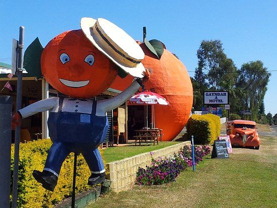 Gayndah's Big Orange